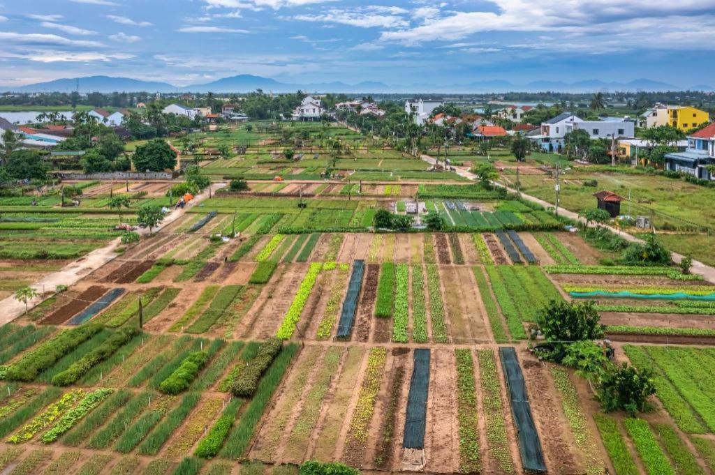 Hoi An Ht Villa And Hostel Екстериор снимка
